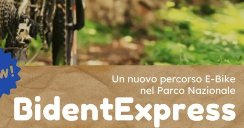 Bident Express